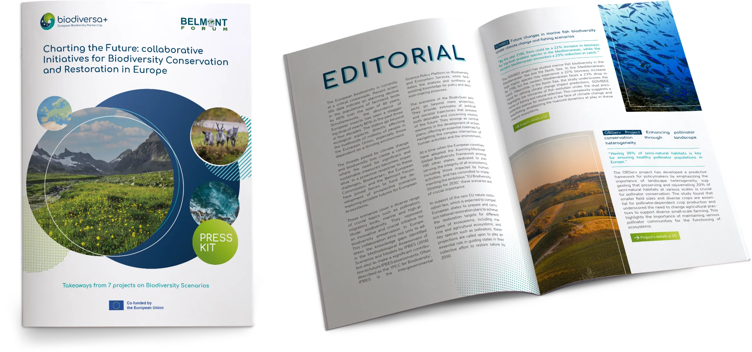 Mise en page d'un dossier de presse pour Biodiversa