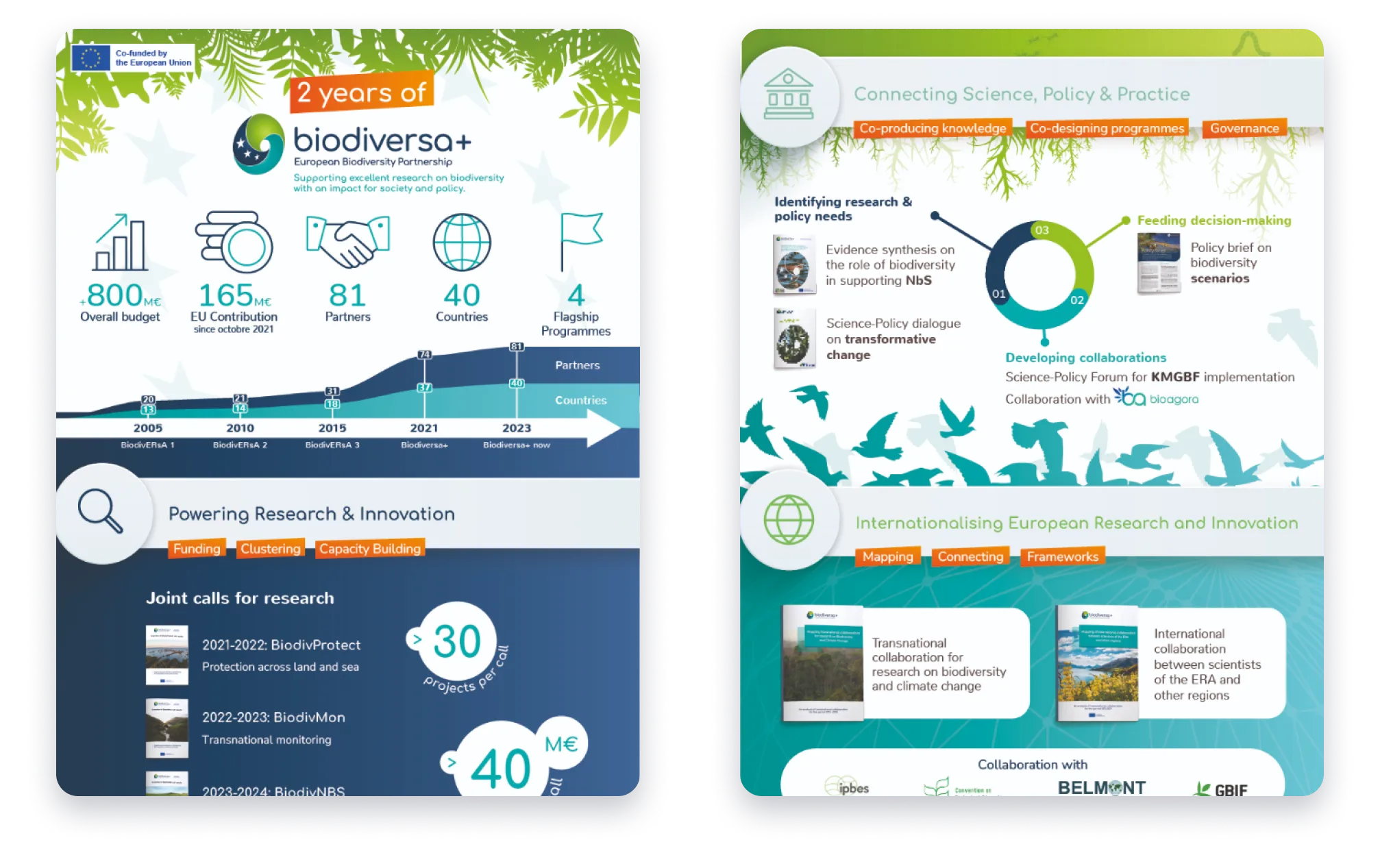 Création d'une infographie