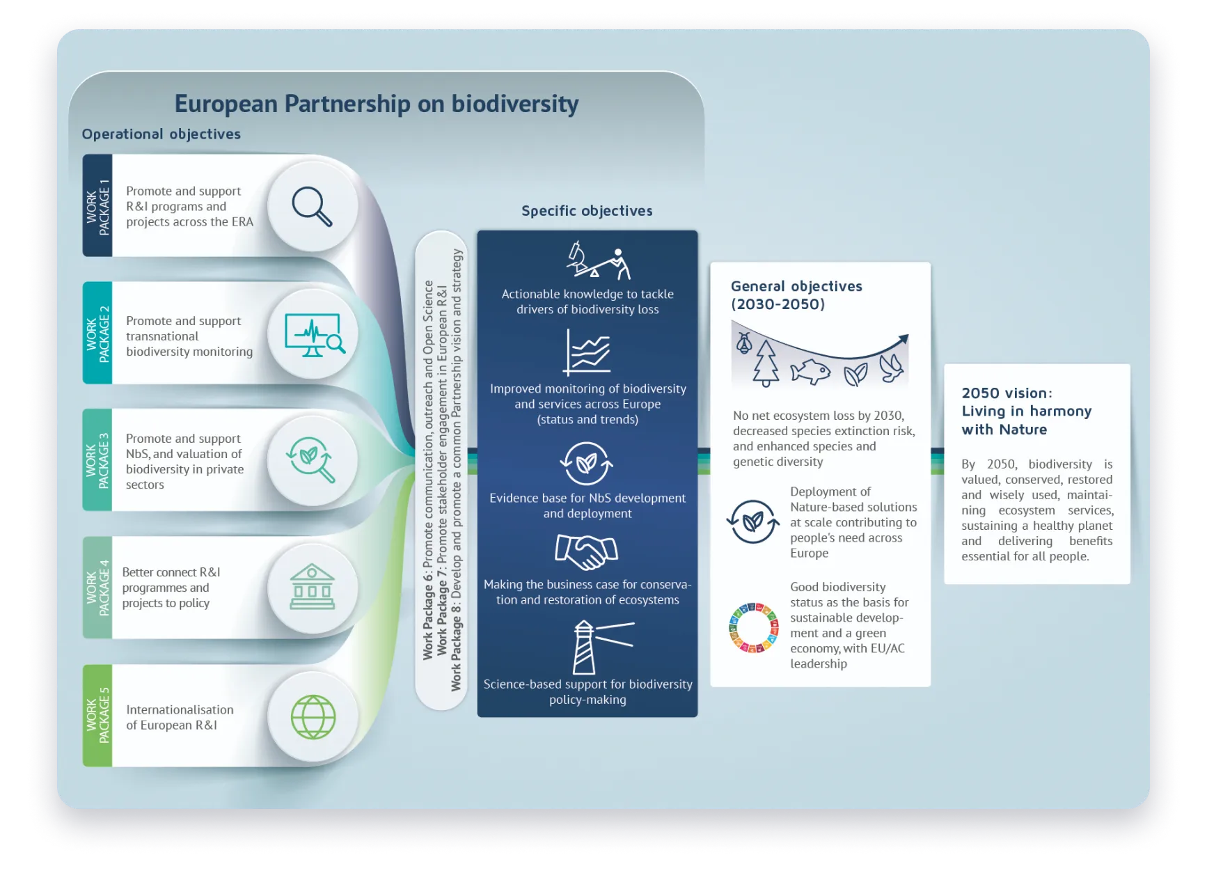 Infographie pour la Fédération pour la Recherche sur la Biodiversité